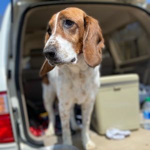 Meet your Posher, Arthur